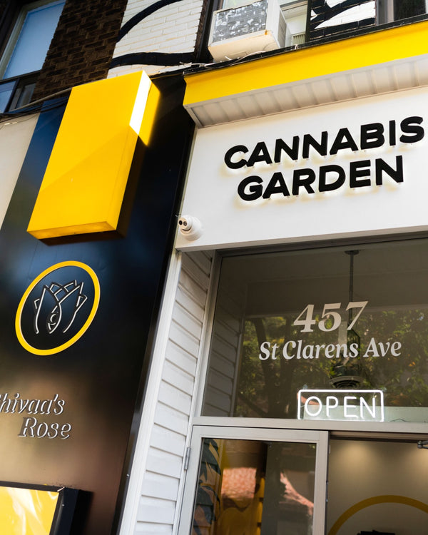 Toronto's Cannabis Garden | Shivaa's Rose Toronto's Cannabis Garden is an oasis for those looking to get away from the hustle and bustle of city life. Please verify your age before you are given access to explore the wonderful world of Cannabis.