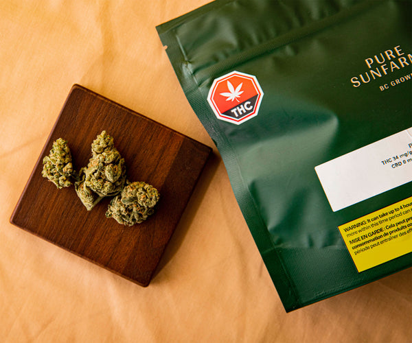 The best sensory experience at the newest Toronto Cannabis Dispensary | Shivaa’s Rose  Nestled in the neighborhood of Bloordale is a new downtown Toronto dispensary; Shivaa’s Rose is a one-stop shop that also offers weed delivery services in Toronto.