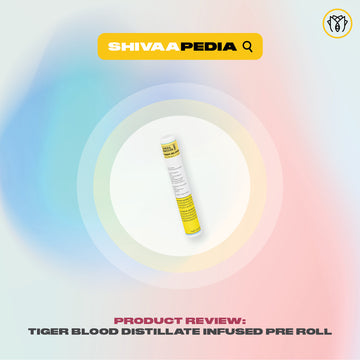 SHIVAAPEDIA | TIGER BLOOD DISTILLATE INFUSED PRE-ROLLS BY GENERAL ADMISSIONS REVIEW