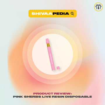 Shivaapedia | Sherbinski Pink Sherbs Disposable Vape Pen