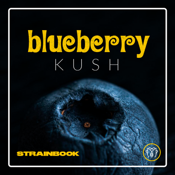 STRAINBOOK | Blueberry Kush