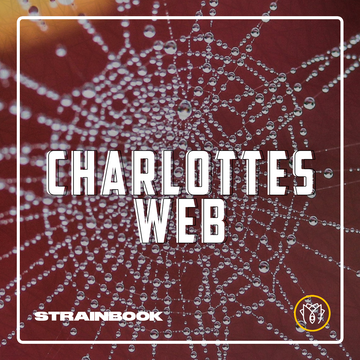 STRAINBOOK | Charlotte’s Web