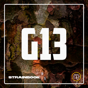 STRAINBOOK | G13