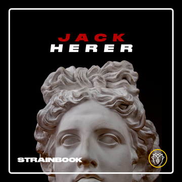 STRAINBOOK | JACK HERER