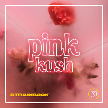 Strainbook | Pink Kush