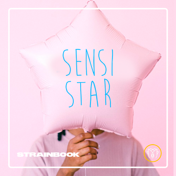 STRAINBOOK | SENSI STAR
