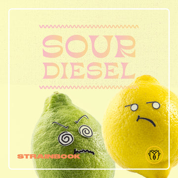 STRAINBOOK | Sour Diesel