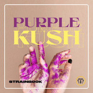 STRAINBOOK | Purple Kush