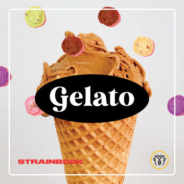 Strainbook | Gelato