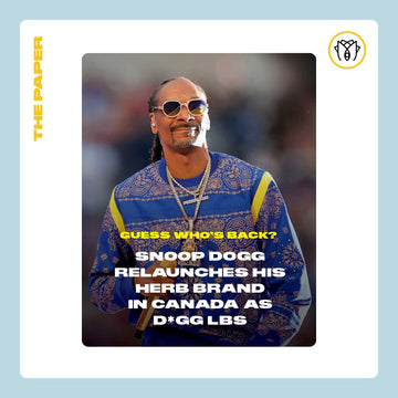 Guess Who's Back? Snoop Dogg relaunches his Cannabis Brand in Canada