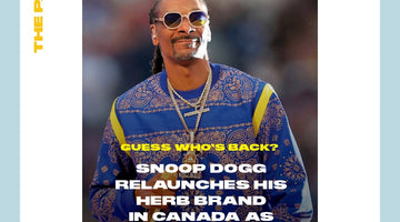Guess Who's Back? Snoop Dogg relaunches his Cannabis Brand in Canada