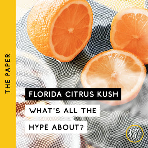 What is Florida Citrus Kush (F.C.K.) and why is there so much hype around it?