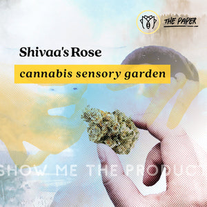 Shivaa's Rose – Cannabis Sensory Garden