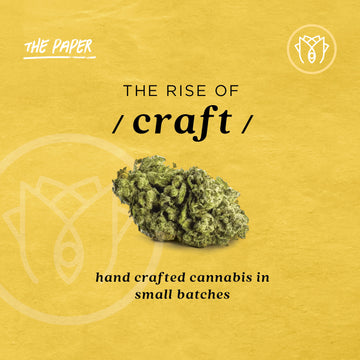 The Rise Of Craft Cannabis